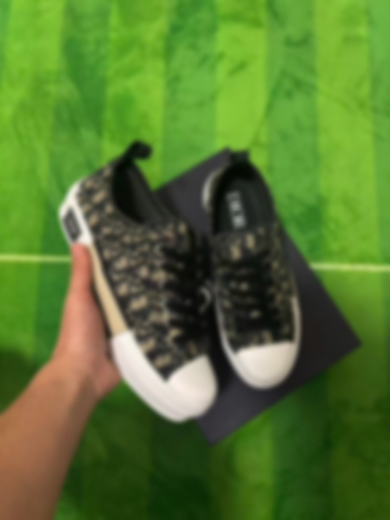 CD15K - Low Top Sneaker